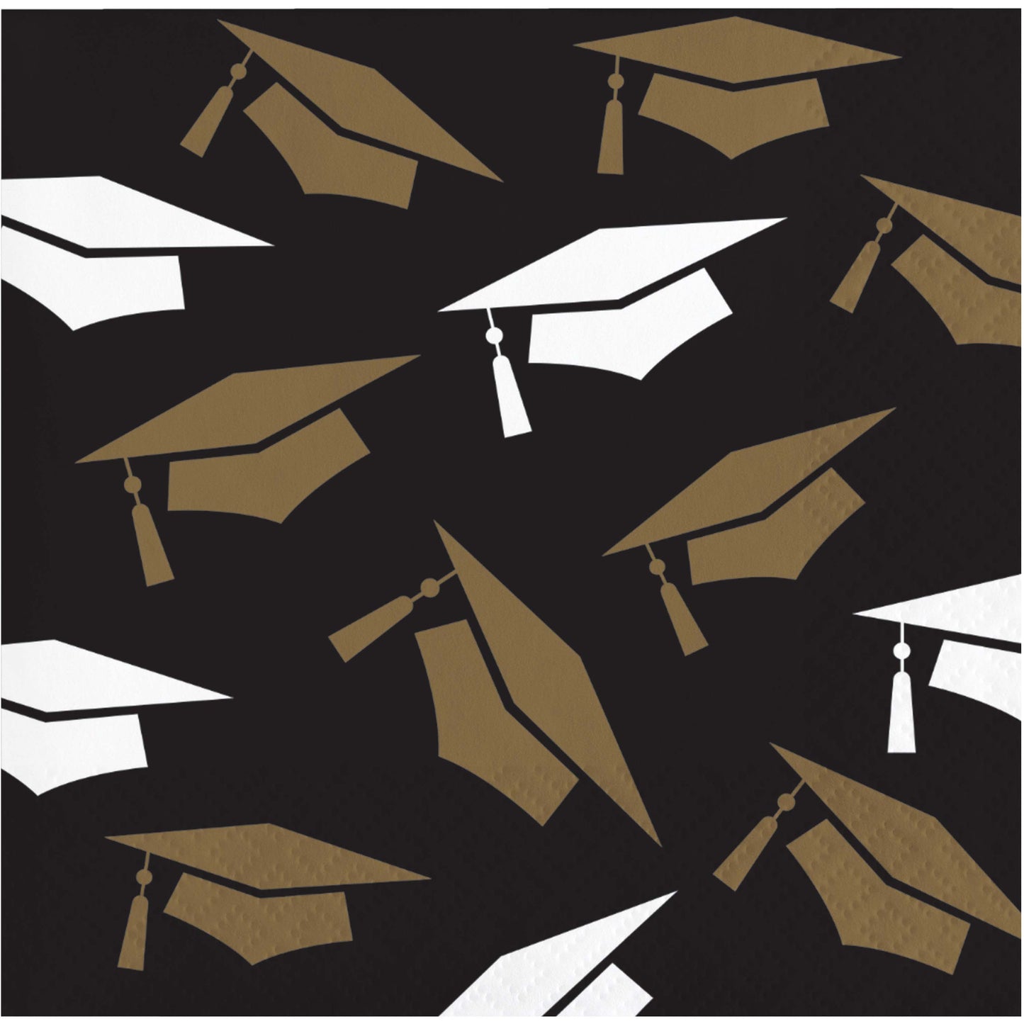 Graceful Grad Beverage Napkins 16ct