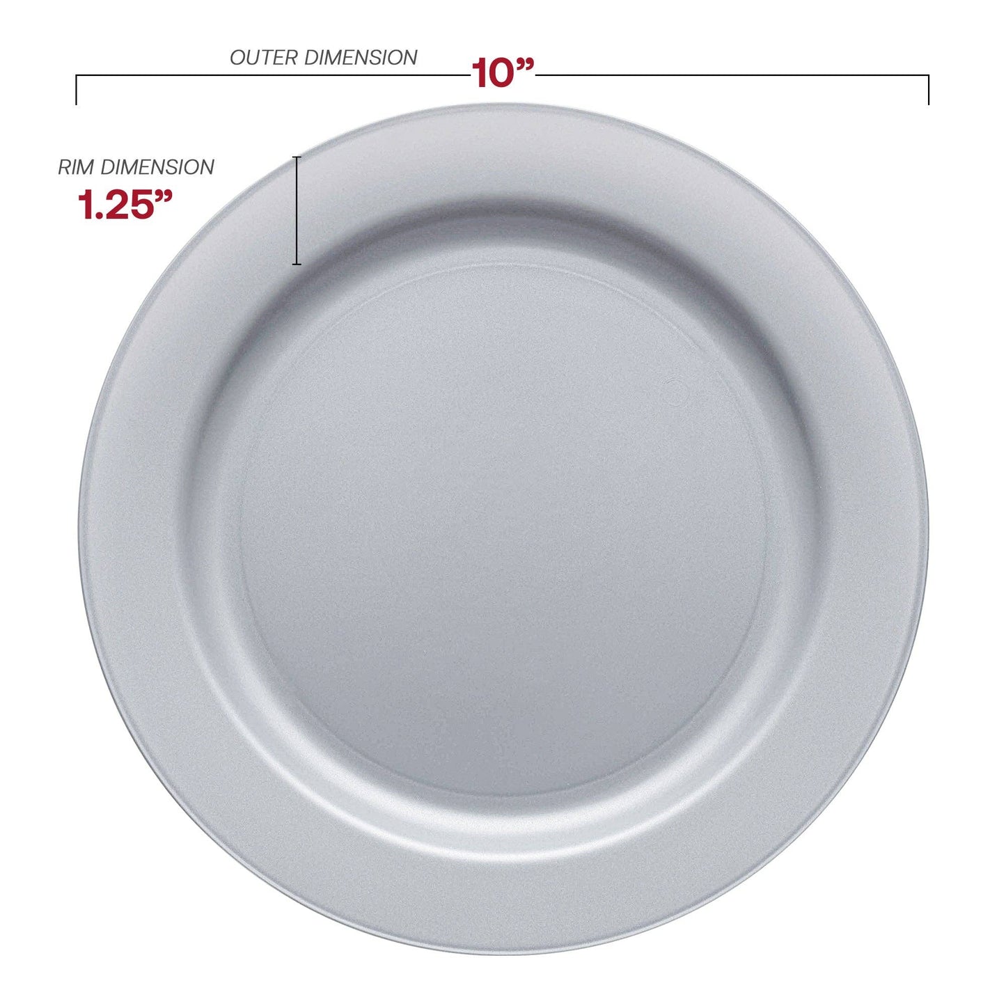 10" Matte Steel Gray Round Plastic Dinner Plates - 10 pcs
