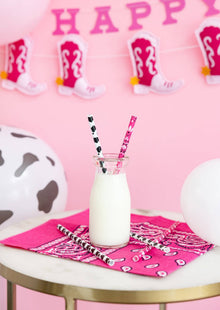 Cowgirl Reusable Straws 12ct