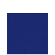 Navy Blue Beverage Napkins 20ct