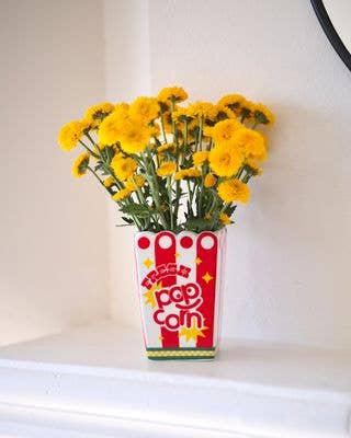 Ceramic Vase, Popcorn Bag