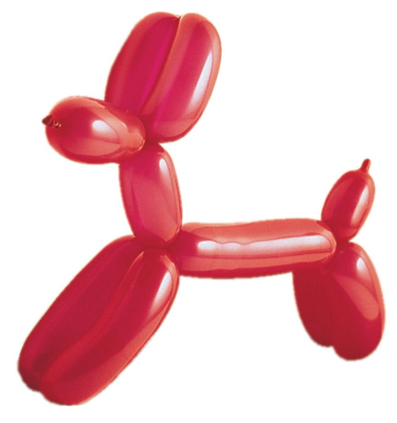 Twist & Shape Animal Balloons