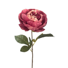 Garden Peony Stem 17.5" - Rose