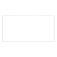 Traditional Place Card - White 50ct