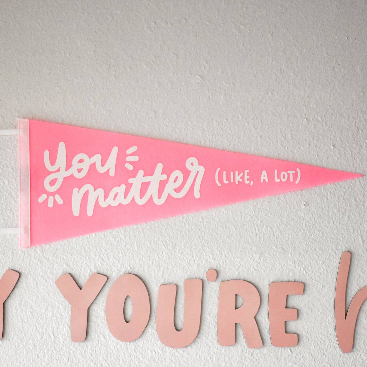 You Matter Pennant Flag (Pink)