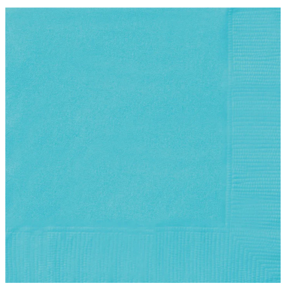 Teal Dinner Napkins 40ct