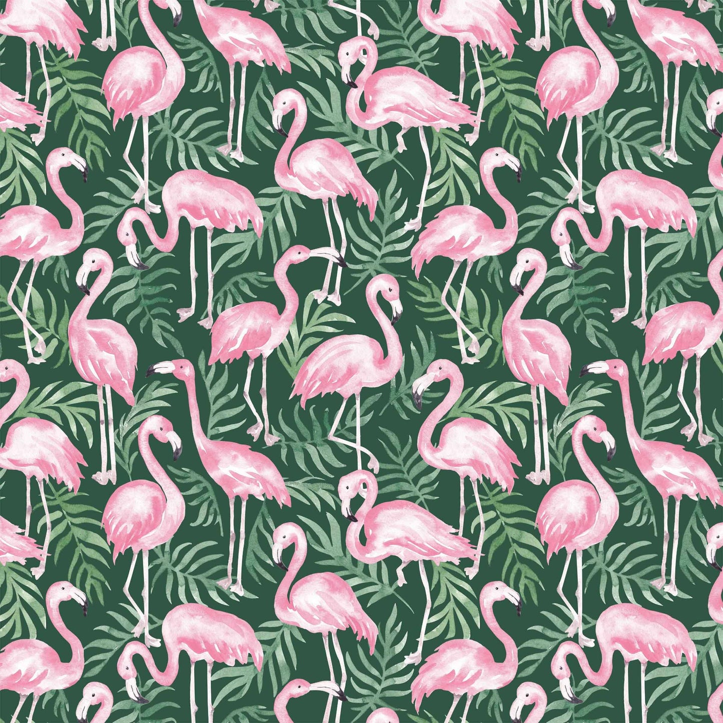 Beau Bottles Palm Flamingo Club - Prosecco Collection