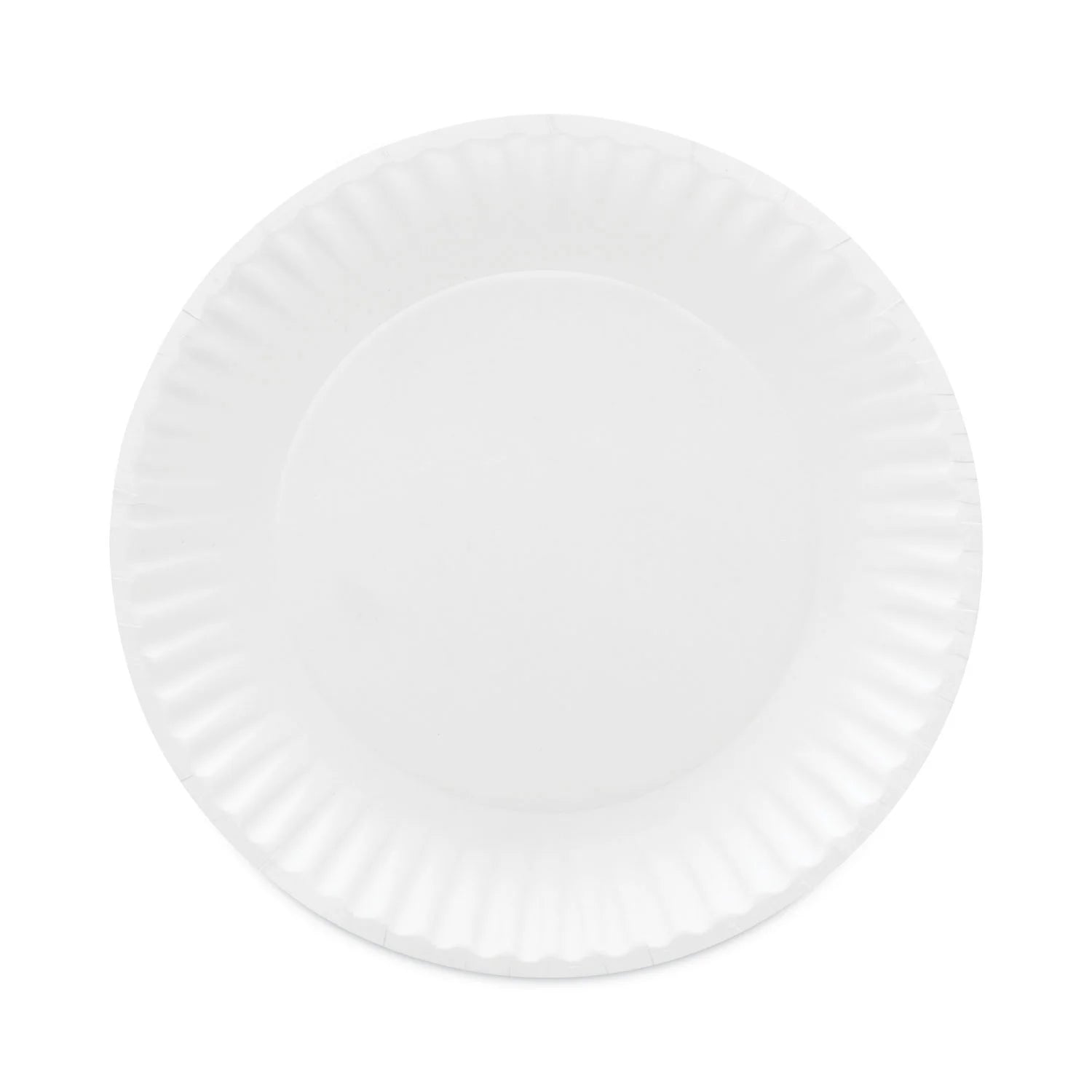6in Uncoated Paper Plates 100ct