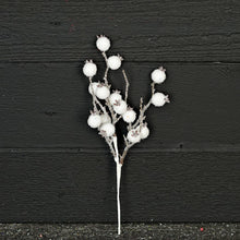 12in Pick-Fluffy Snowy White Crabapple Berry