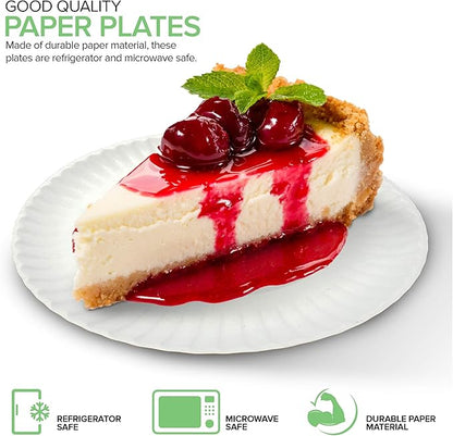 6in Uncoated Paper Plates 100ct