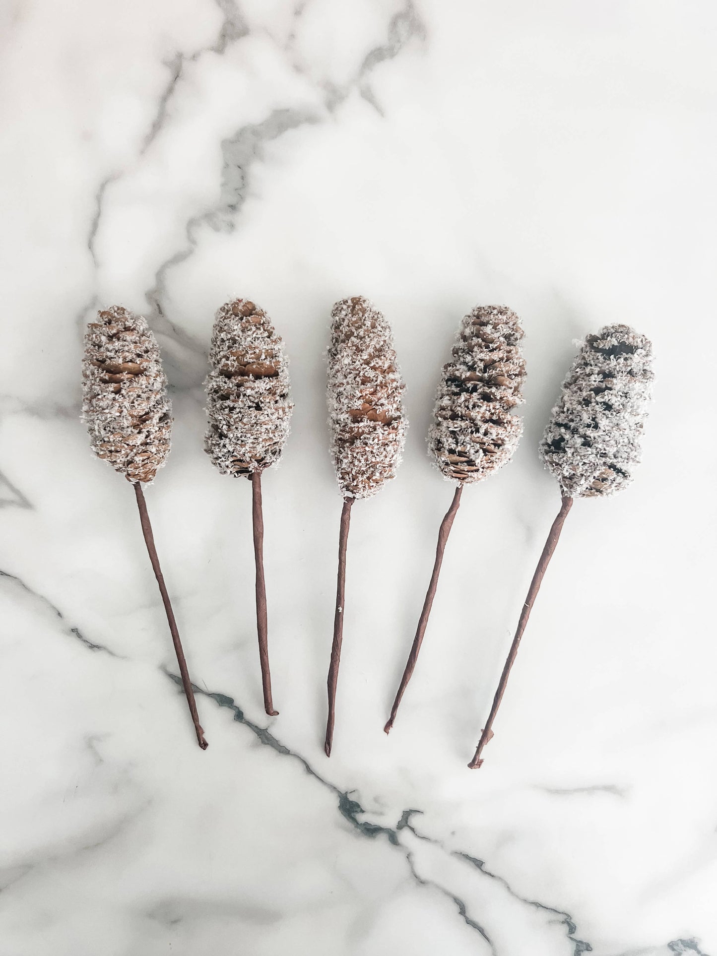 Large Snowy Pinecone Pick Sprig - Set of 5