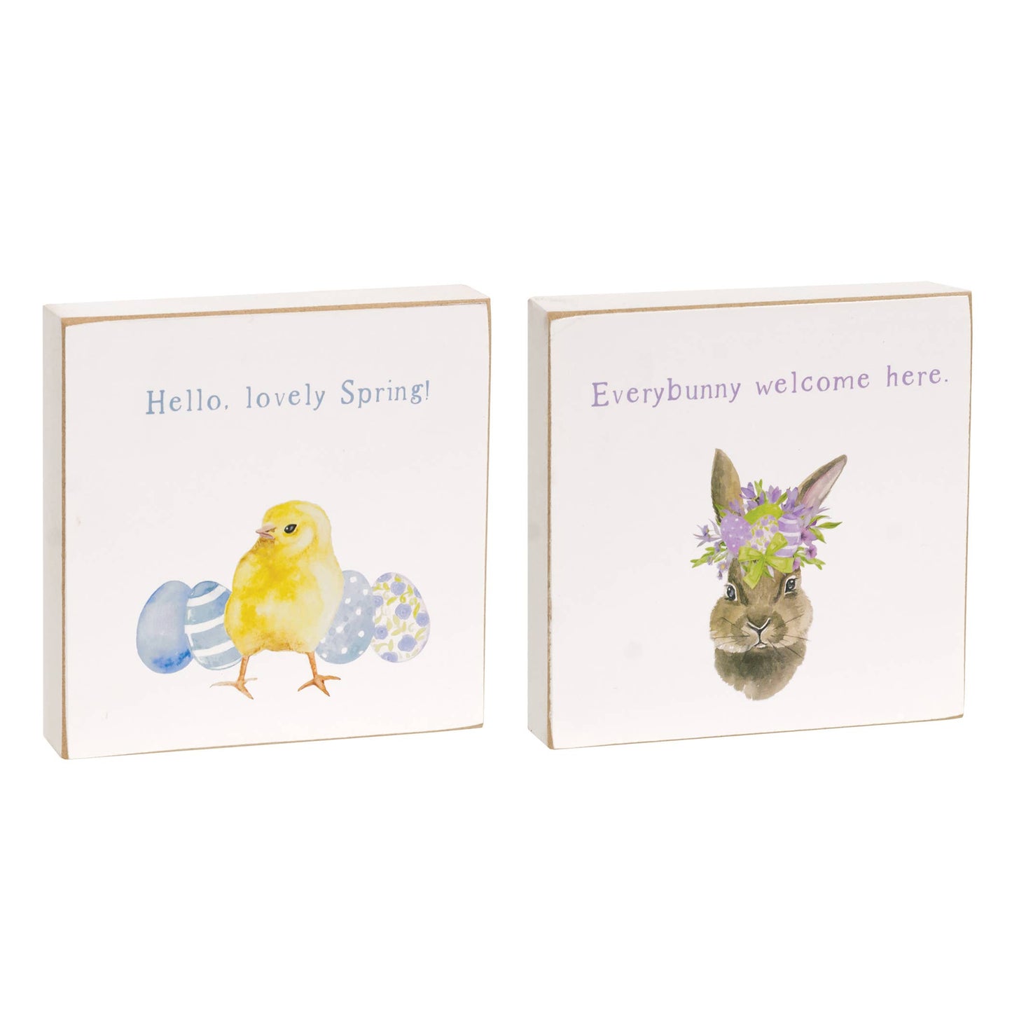 Everybunny Welcome Square Block, 2 Assorted