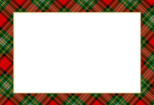 Tartan Red Foil Place Cards 8ct