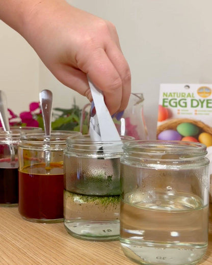 Natural Egg Dye Kit