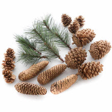 Bag of Natural Gold Painted Pinecones and Faux Pine Sprigs