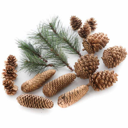Bag of Natural Gold Painted Pinecones and Faux Pine Sprigs
