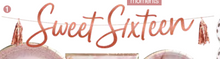 Blush Sweet 16 Banner