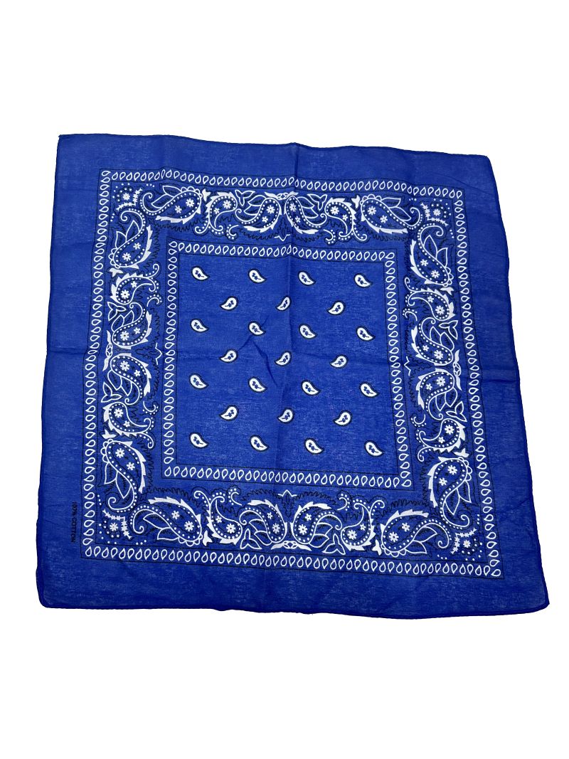Blue Paisley Bandana  20x20 in