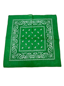 Green Paisley Bandana 20x20 in