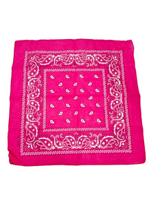 Pink Paisley Bandana 20x20 in