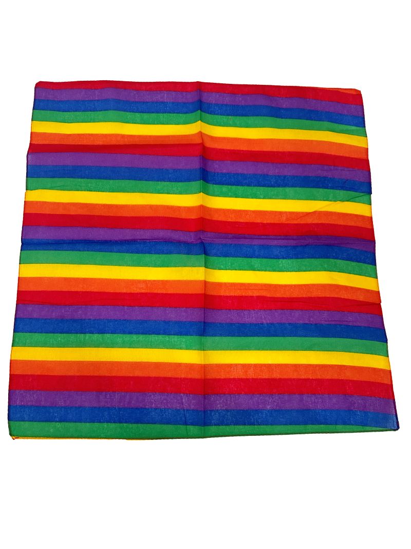 Rainbow Paisley Bandana 20x20 in