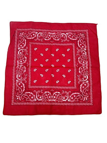 Red Paisley Bandana 20x20 in
