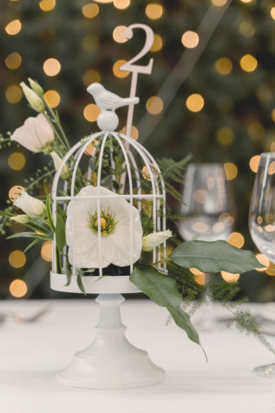Bird Cage White