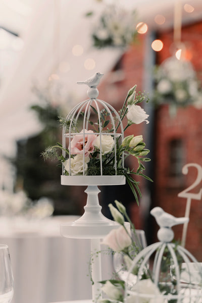 Bird Cage White