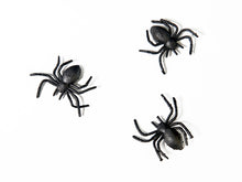 Mini Plastic Spiders 10ct
