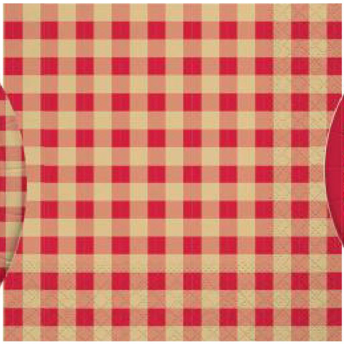 Grill n' Chill Lunch Napkins 16ct