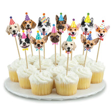 Dogs Party Picks 12ct
