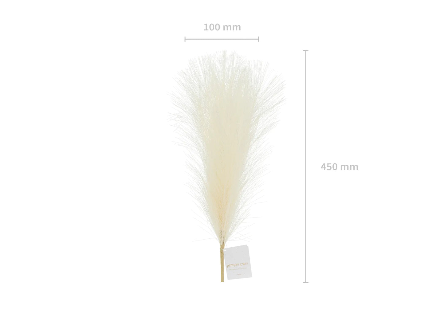 Pampas Grass Artificial Light Cream