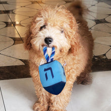 "Chewdaica" Oxford Dreidel Squeaky Dog Toy With Rope