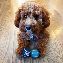 "Chewdaica"™ Set of 3 Chanukah Dog Tennis Balls