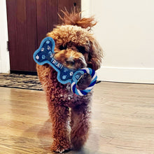"Chewdaica" Chanukah Bone Squeaky Dog Toy