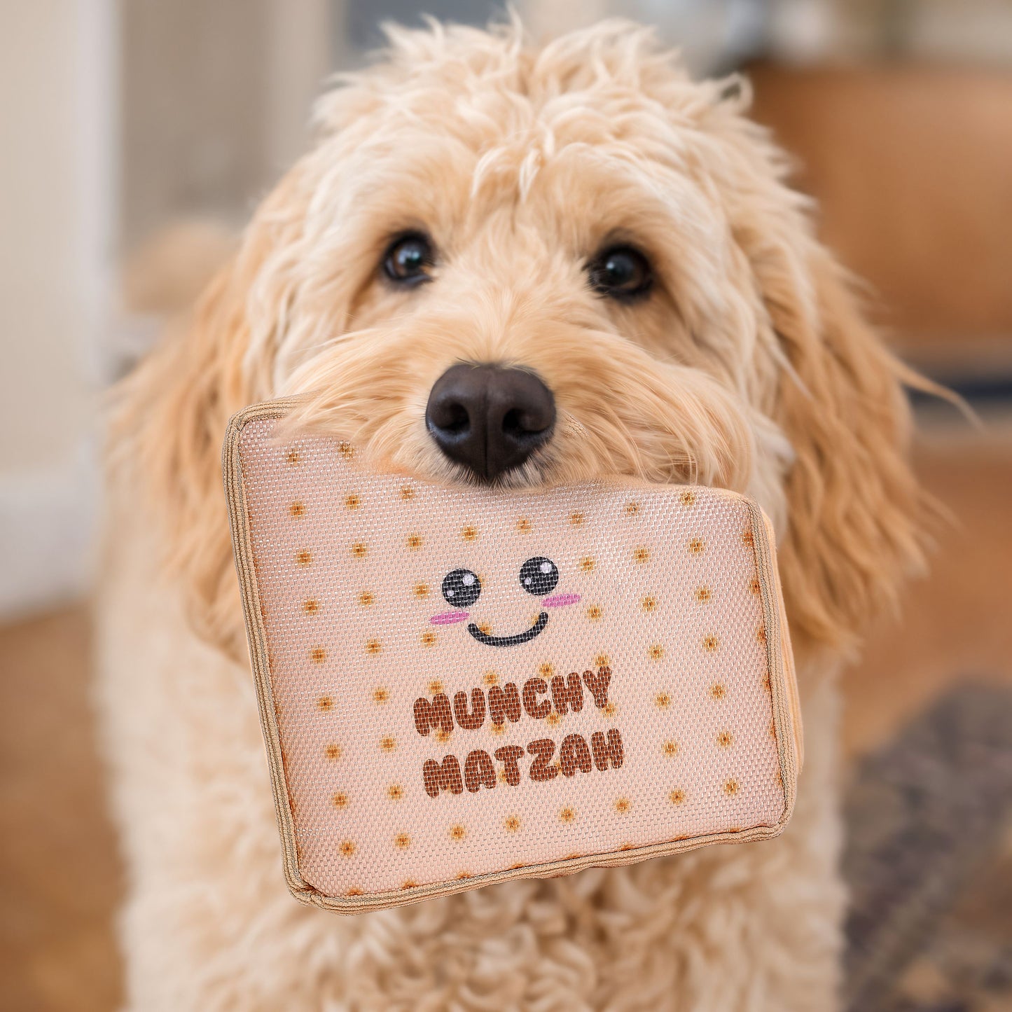 Passover Matzah Crinkly Dog Toy