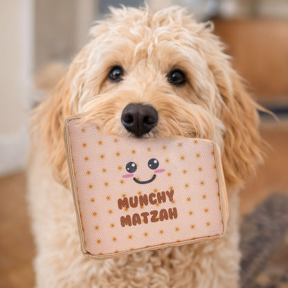 Passover Matzah Crinkly Dog Toy