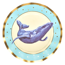 Pastel Sea 10.5in Dinner Plates 8ct