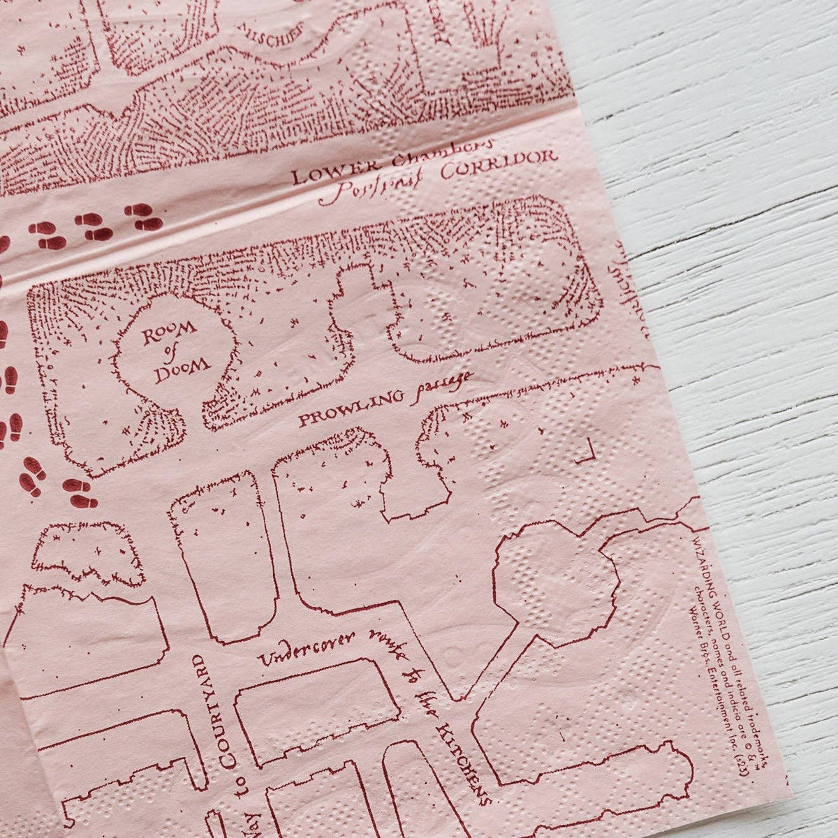 HARRY POTTER X BONJOUR FÊTE HOUSE PRIDE SMALL PARTY NAPKINS