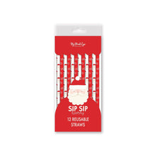 Believe Santa Reusable Straw Set 12ct