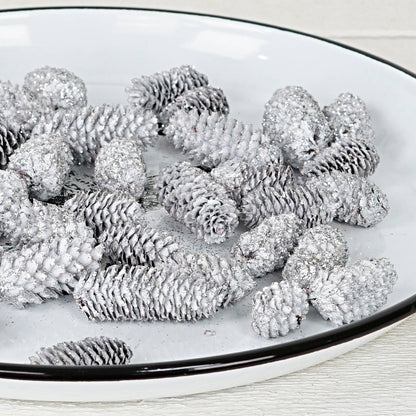 Birchcone Decor Bag-130g-White with silver glitter