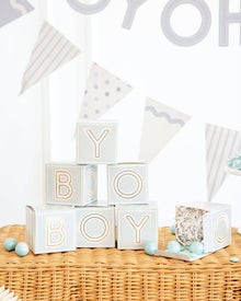 Blue Block Treat Box 8ct