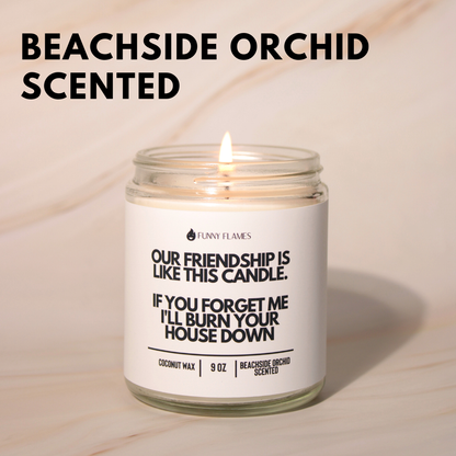 Our Friendship Is Like This Candle if you forget about me...