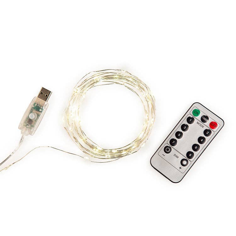 Silver String Lights 30ft