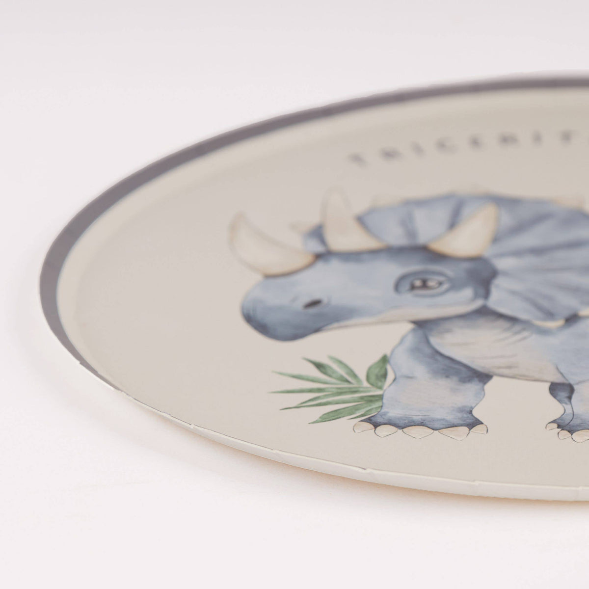 Dinosaur Paper Plates – 8 in Partyware