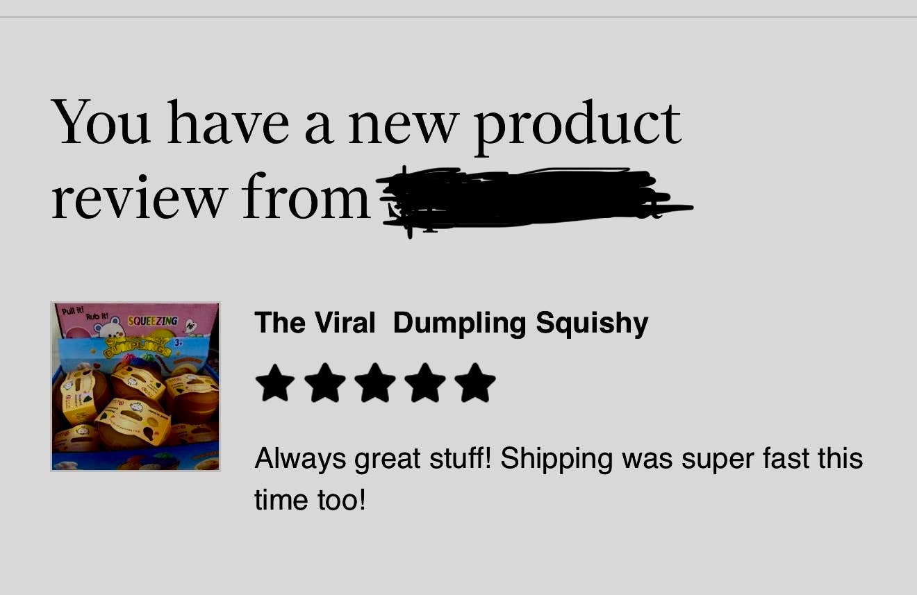 The Viral Dumpling Squishy- Glitter Edition :)