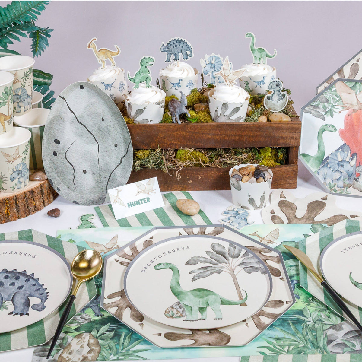 Dinosaur Placemats – Disposable Table Setting