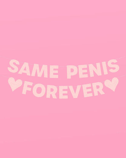 Bachelorette Party Same Penis Forever Banner