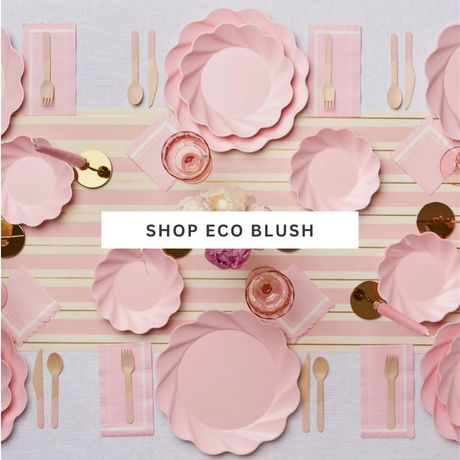eco_blush_party_supplies
