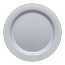 10" Matte Steel Gray Round Plastic Dinner Plates - 10 pcs
